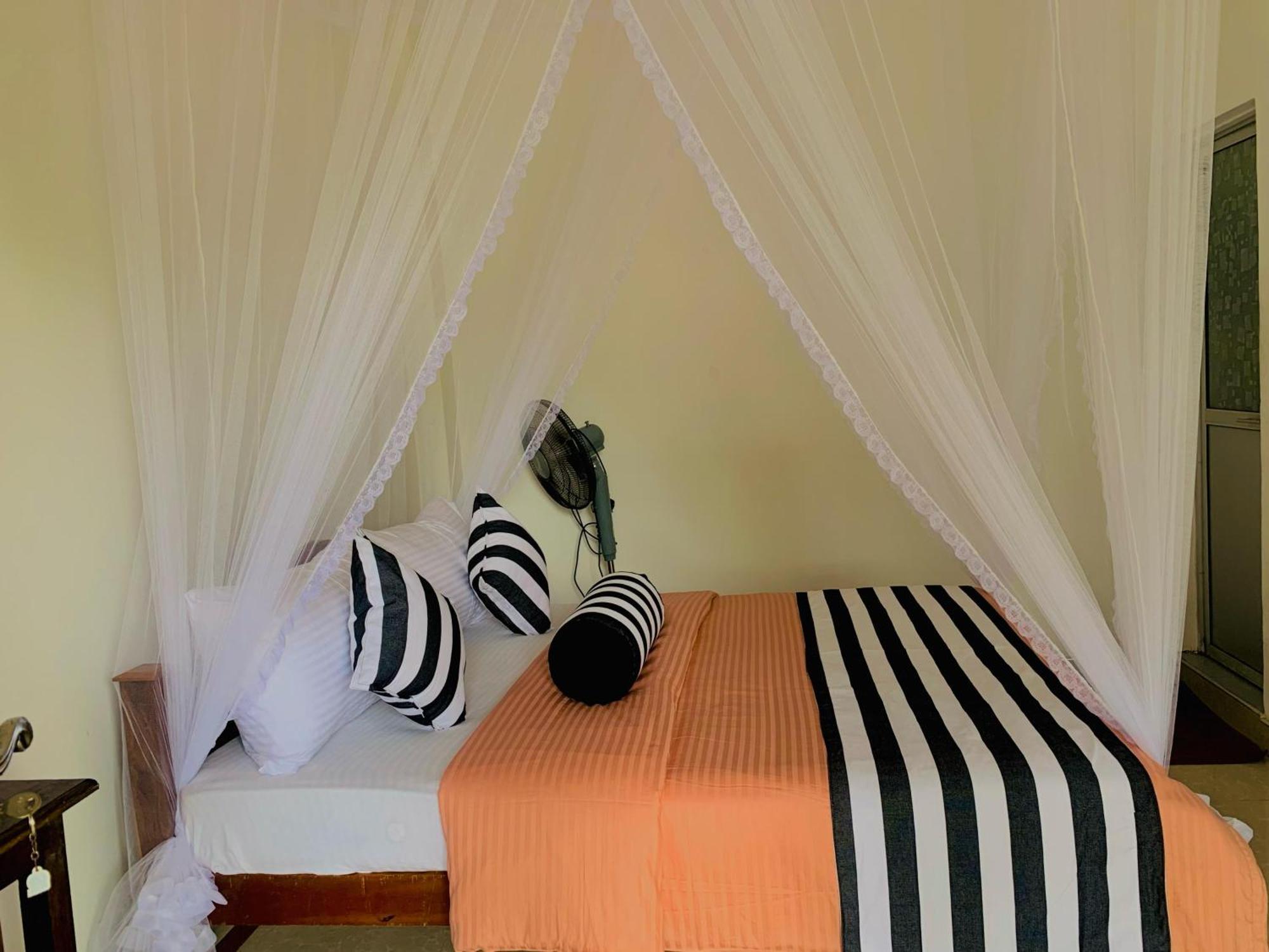 Hotel Ella South Star Extérieur photo